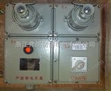 BXS系列BXS系列防爆检修电源插座箱