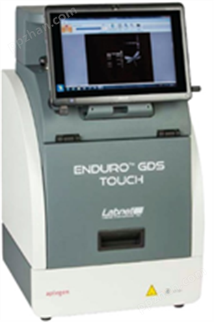 Enduro GDS Touch凝胶成像系统