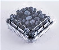 辽宁食品吸塑盒定做 透明吸塑盒 水果吸塑盒