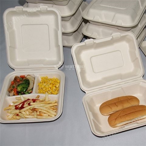 9*6寸一次性快餐盒轻食环保餐盒可降解餐具